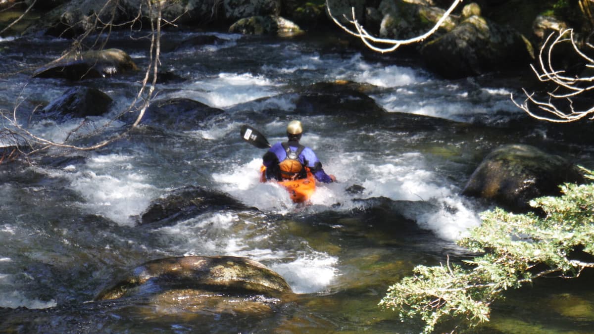 Chilean River